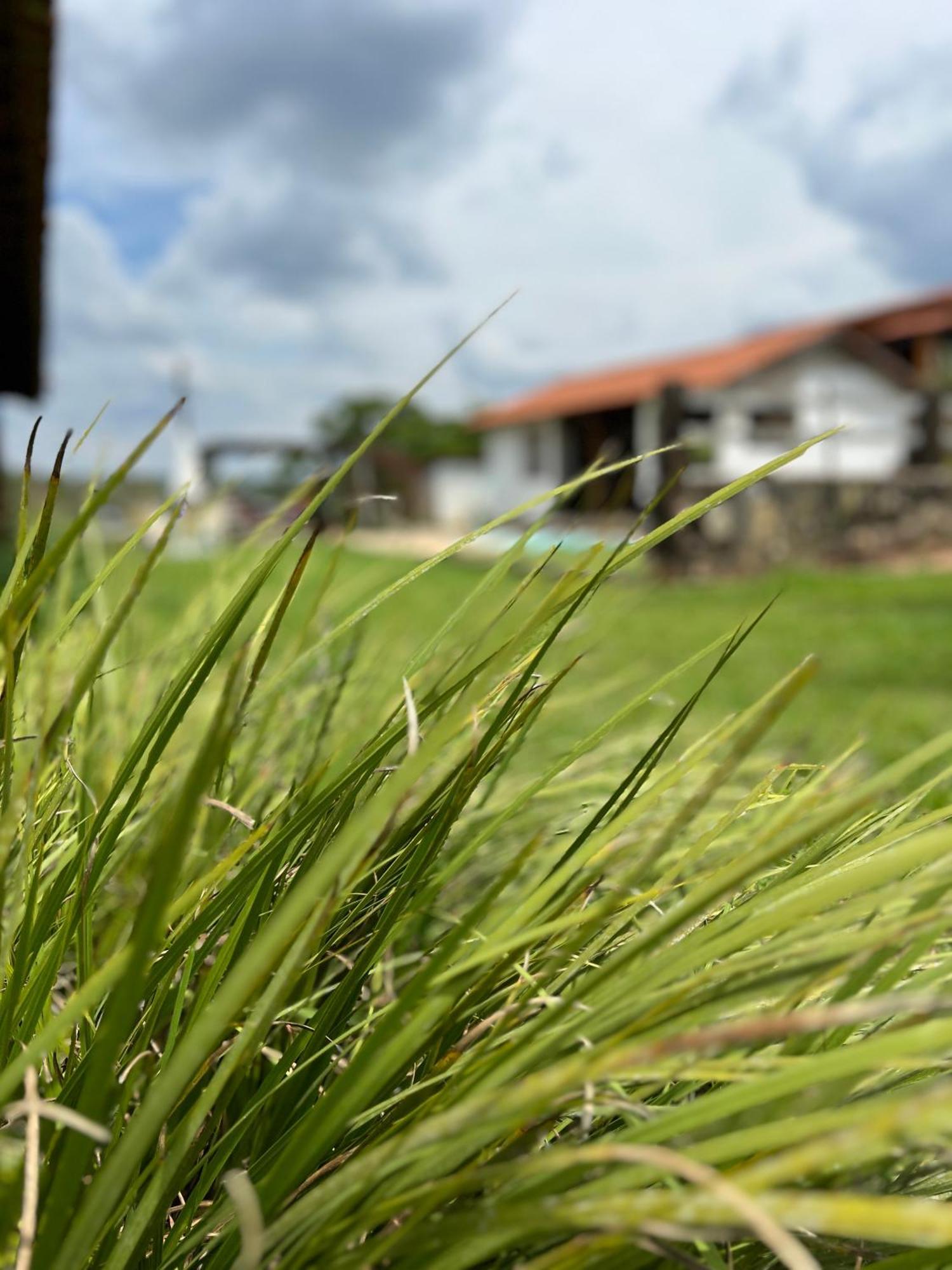 Fazenda Do Engenho Otel Santa Rita do Rio Abaixo Dış mekan fotoğraf