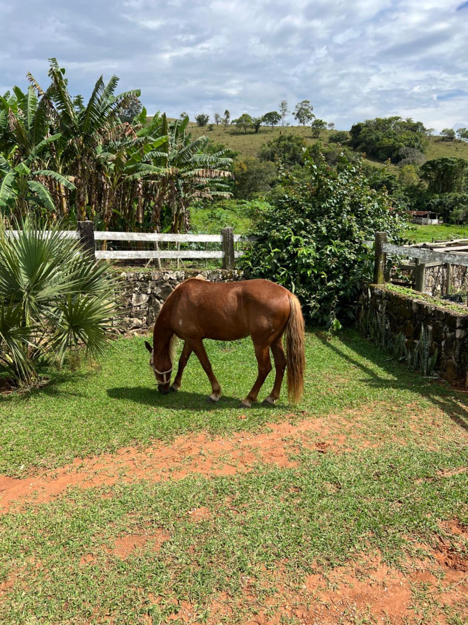 Fazenda Do Engenho Otel Santa Rita do Rio Abaixo Dış mekan fotoğraf