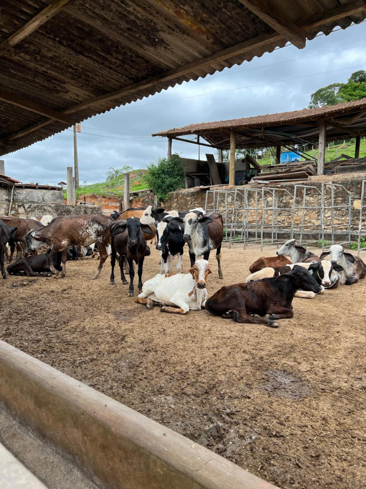 Fazenda Do Engenho Otel Santa Rita do Rio Abaixo Dış mekan fotoğraf