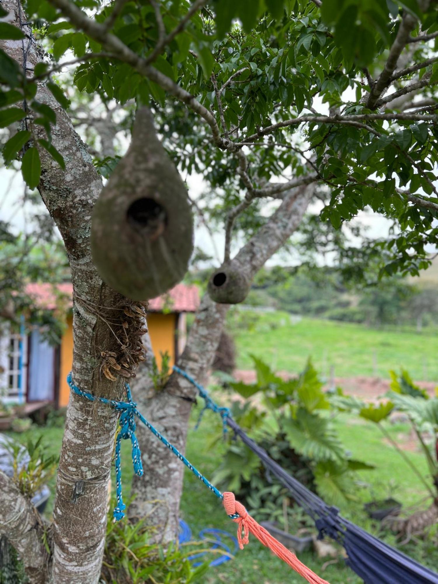 Fazenda Do Engenho Otel Santa Rita do Rio Abaixo Dış mekan fotoğraf