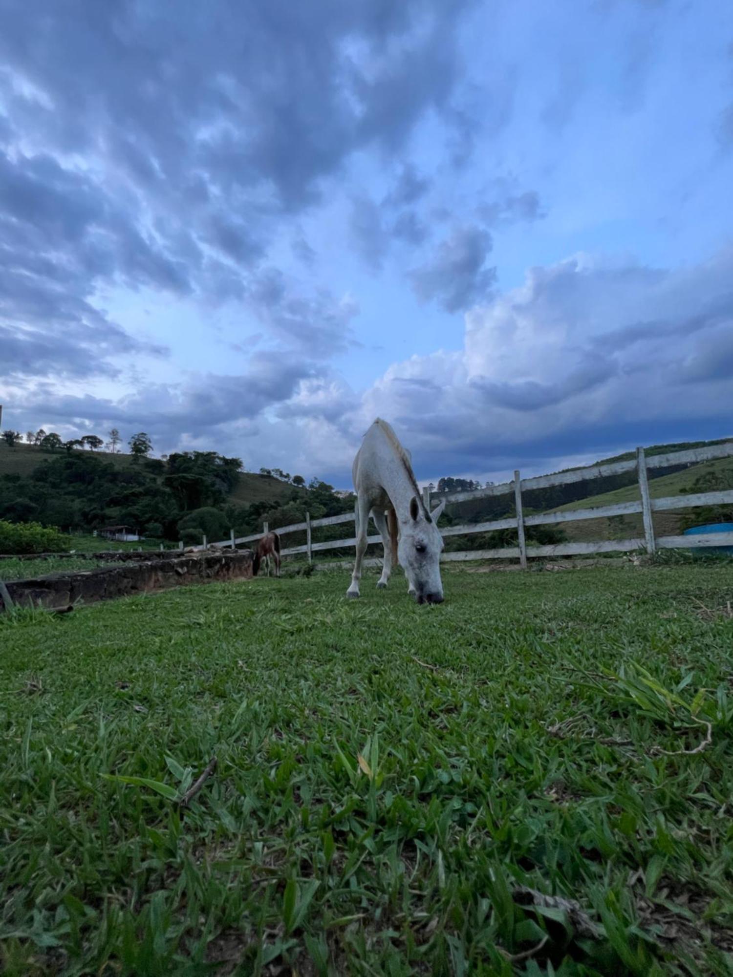 Fazenda Do Engenho Otel Santa Rita do Rio Abaixo Dış mekan fotoğraf
