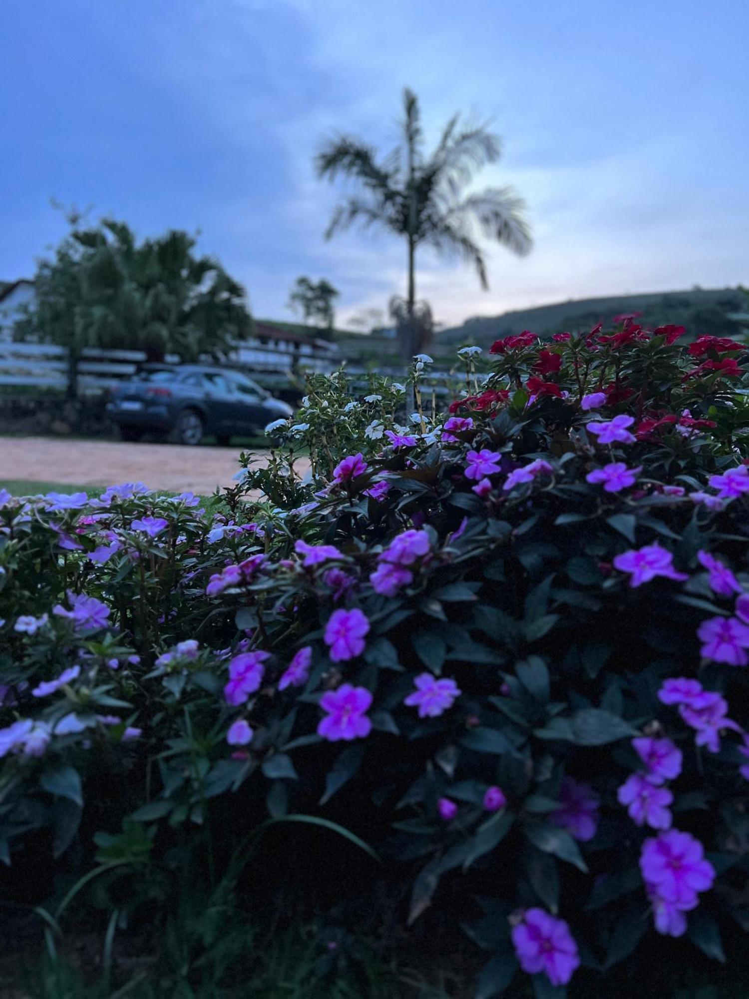 Fazenda Do Engenho Otel Santa Rita do Rio Abaixo Dış mekan fotoğraf