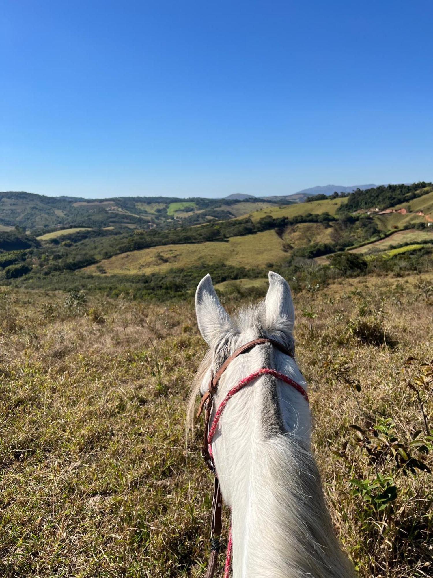 Fazenda Do Engenho Otel Santa Rita do Rio Abaixo Dış mekan fotoğraf