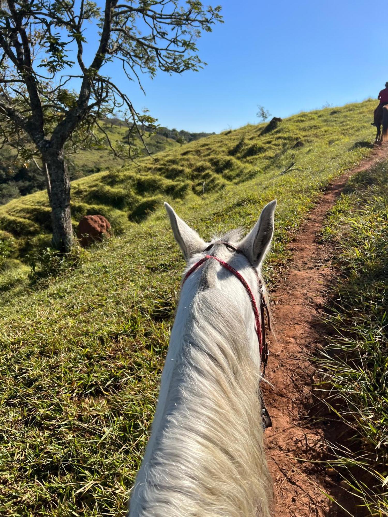 Fazenda Do Engenho Otel Santa Rita do Rio Abaixo Dış mekan fotoğraf